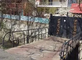 Resort Hotel BIJNISI