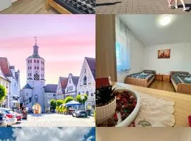 Schlafen an der Donau cozy,zentral 5min Legoland & Stadtmitte, Flussblick , familyfriendly