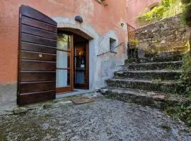 Le Coccinelle