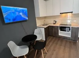 Смарт апартаменты ЖК Артвиль 7 КМ, Аквапарк