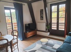 Cozy studio in Hohwald Nature & relaxation guaranteed, Hotel in Le Hohwald
