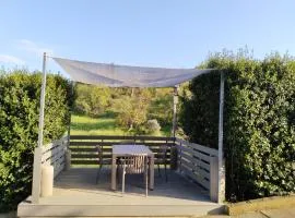 Calm Horizon Residence