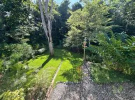 Casa Rio Tortuga - Colibri