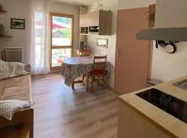 Appartement cosy 2-4 pers. - centre village, proche remontées, piscine, terrasse plein sud - FR-1-342-154