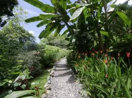 Casa Rio Tortuga - Butterfly