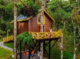 Pousada Paraíso das Araucárias Monte Verde Vista das montanhas