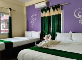 Tiger wildlife camp