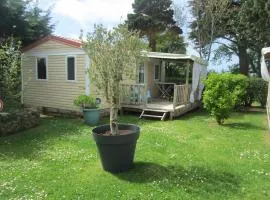 mobil- home 4 personnes dans Camping de Kerivoas