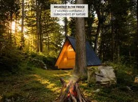 Glamping Zeleni raj Vače