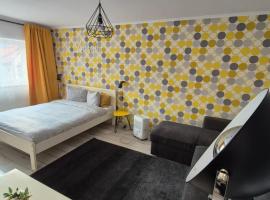 Dream Studio 2 Petrosani, Hotel in Petroşani