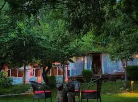 NS Hunza