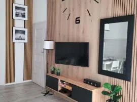 Domki Boszkowo-Dominice Bliźniak 2 apartamenty