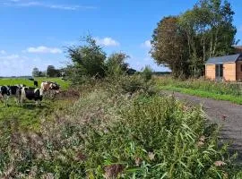 Buorkerijhûske A - Tussen Wad en Weide