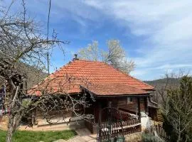 Apartman Rakovica Zlatibor
