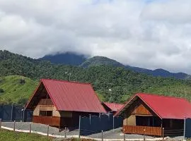 Cabaña 1 Alajuela, San Carlos, Venecia, Marsella