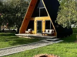 Villa Alpina