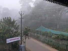 Winter Bloom Homestay Munnar