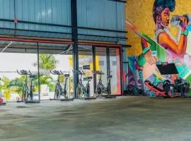 The Spring collection