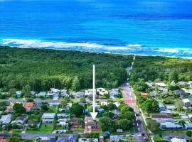 Budge near the Beach