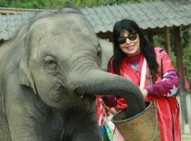 Elephant Jungle Eco Stay Chiang Mai