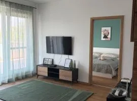 Evergreen Apartment Szeged