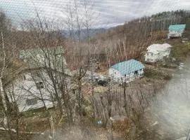 Lily of the Valley White Birch Forest Private Villa