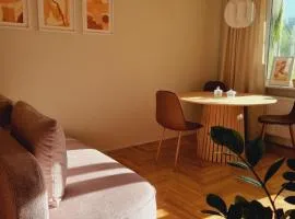 S1 Vilnius