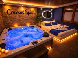 COCOON SPA-4 Pers-Jacuzzi-Parking-Jardin-Clim-Colmar