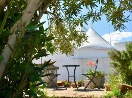 Trulli Dell Erba Apvlian Experience