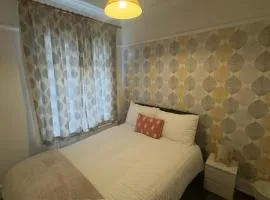 Small comfortable, Sheared house