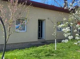 Casa Baciului,Cluj-Napoca