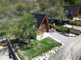 Cabana AFrame Olanesti، فندق في بايل أولانستي