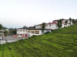LMS Palve Sugavasam