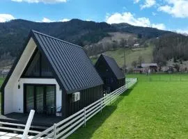 Dark house