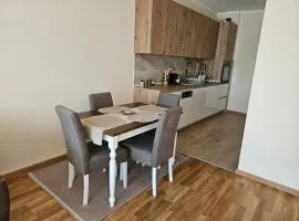 Elena Residence 15min from Belgrade