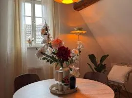 Herzstück 1526 - Ferienwohnung in der Altstadt, Dachgeschoss