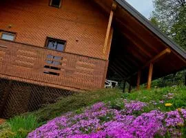 Romantic cabin in the woods - Fesnga, Slovenia