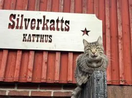Silverkatts katthus