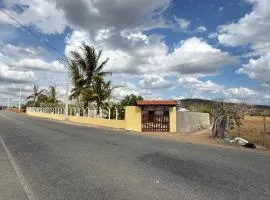 Chácara betel - Bezerros