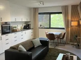 Business Accommodation 'Comfort Living'