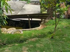 Hospedagem Natureza na Dutra canto dos pássaros