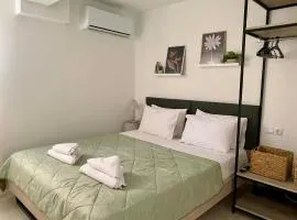 Nikol's central suite 2