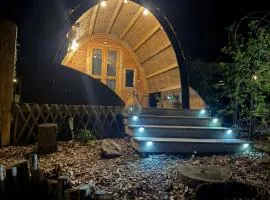 La cabane de l'étang