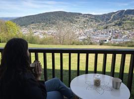 Studio - Le sapin, hotel a Gérardmer