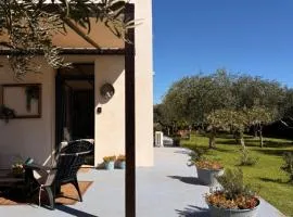 La corte degli ulivi