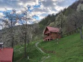 Cabana Ulmului