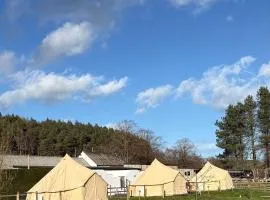 Cheviot Glamping Ltd