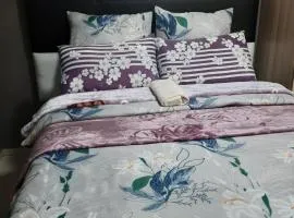 Portia inn accommodation