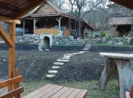 Hidden Garden Kide (Chidea)