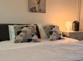 3-Bed Apartment Central Zurich